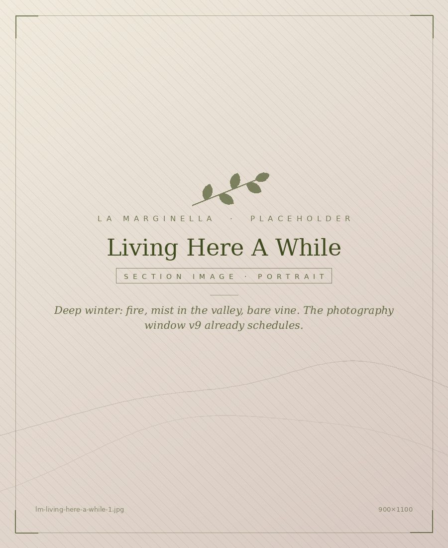 Deep winter: fire, mist in the valley, bare vine. The photography window v9 already schedules.